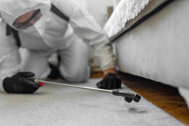 Professional Bed Bug Control technician working in Fayetteville, NY