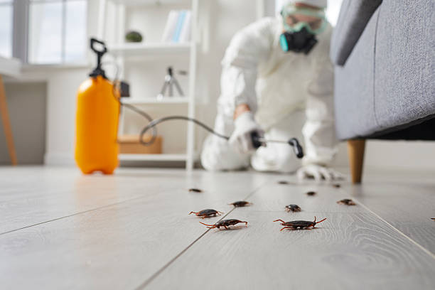 Trusted Cockroach Control service in Fayetteville, NY - Nex Pest Control